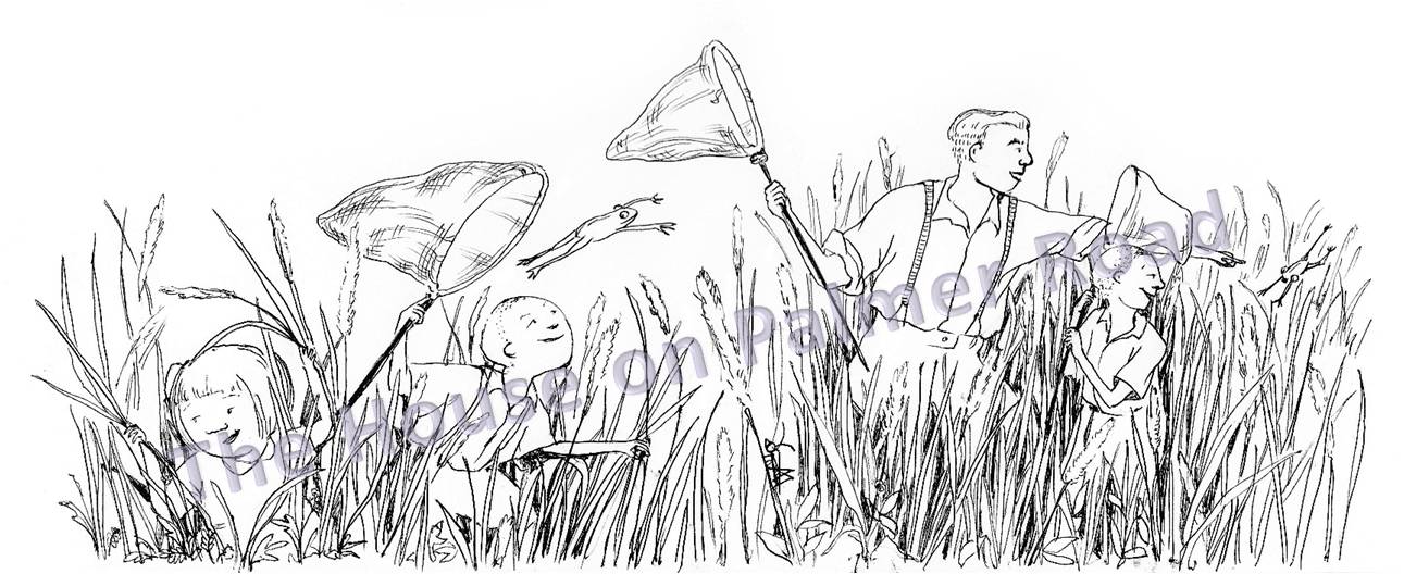 Palmer Road - Picture 3 Watermarked